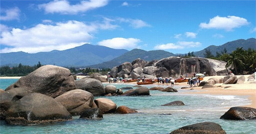 张成荣电烤鸡架