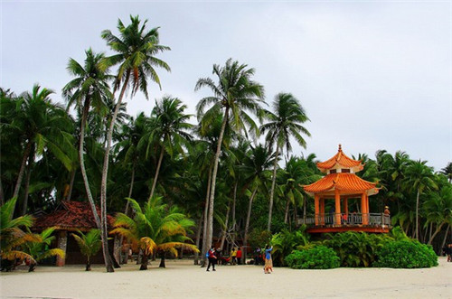 面友道御厨私房面