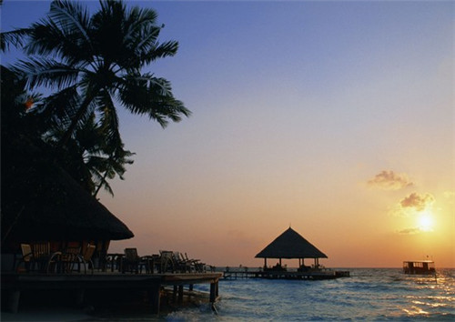 雀影尤克里里（雀跃尤克里里弹唱谱）