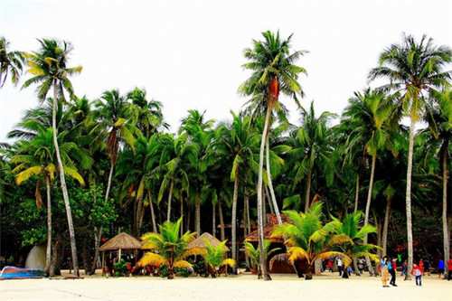 思念前世的歌词是什么歌（《思念前生》）