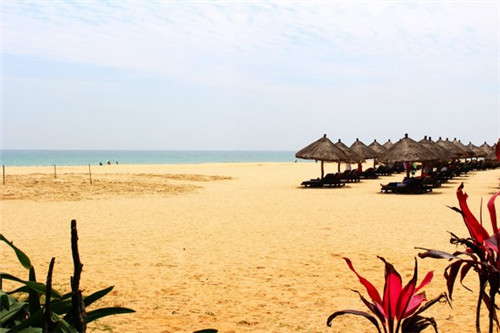 冬奥升会旗唱的什么歌（参加冬奥会的国旗）