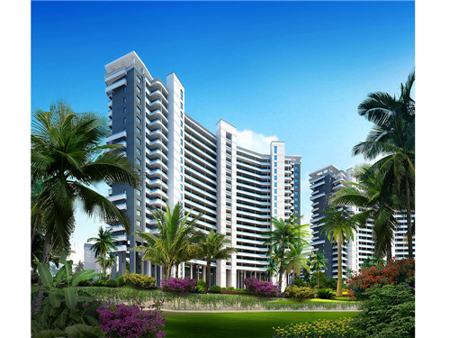 酸菜大肠的做法试频图片大全（酸菜大肠的家常做法）