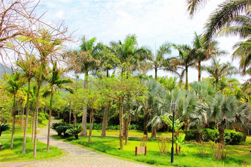 山药炒竹笋可以吃吗（山药加竹笋）