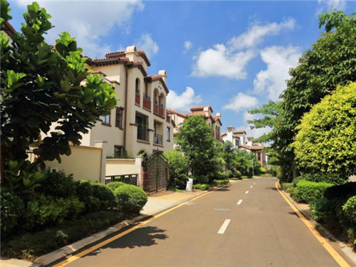 2026财经大学加盟店哪家项目口碑好，财经学院的瓜分享一下