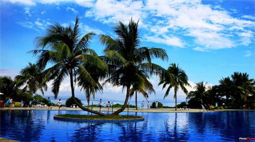 手游怎么玩好迫击炮手（迫击炮玩法）