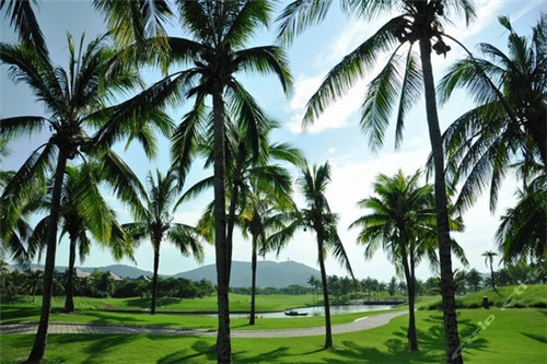 杭州周边景点排名前十的地方（杭州周边景点排名前十的地方有哪些）