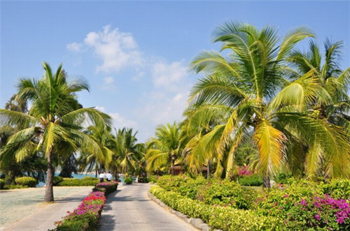 超贵气糖果袋子（糖果袋包装）